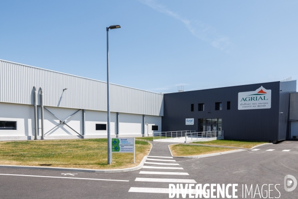 Fabrication de mozzarella industrielle