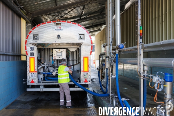 Fabrication de mozzarella industrielle