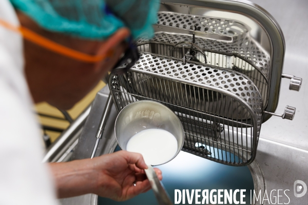 Fabrication de mozzarella industrielle