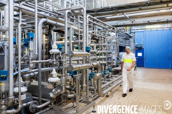 Fabrication de mozzarella industrielle