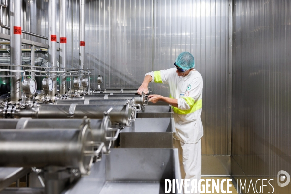 Fabrication de mozzarella industrielle