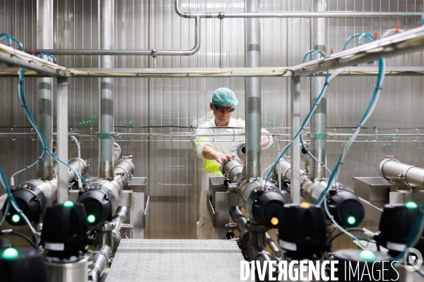 Fabrication de mozzarella industrielle