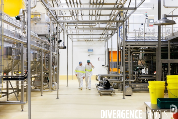 Fabrication de mozzarella industrielle