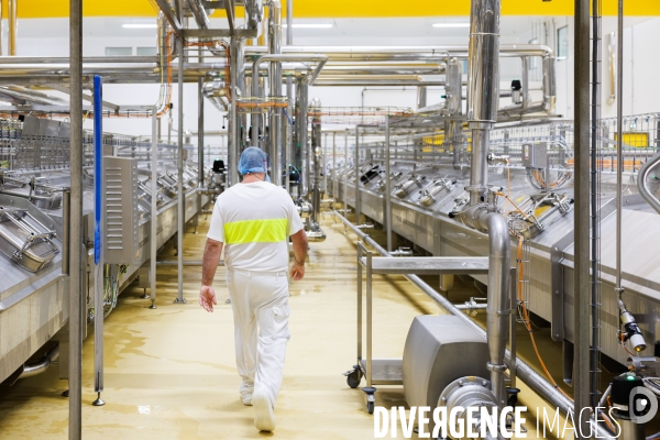 Fabrication de mozzarella industrielle