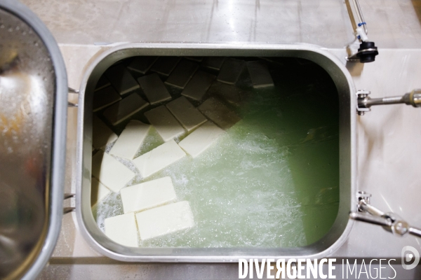Fabrication de mozzarella industrielle