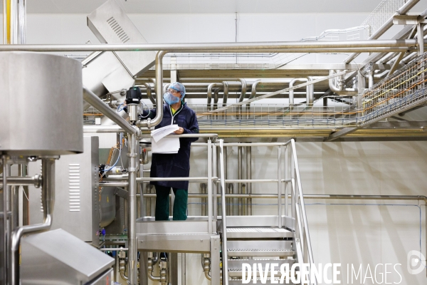 Fabrication de mozzarella industrielle