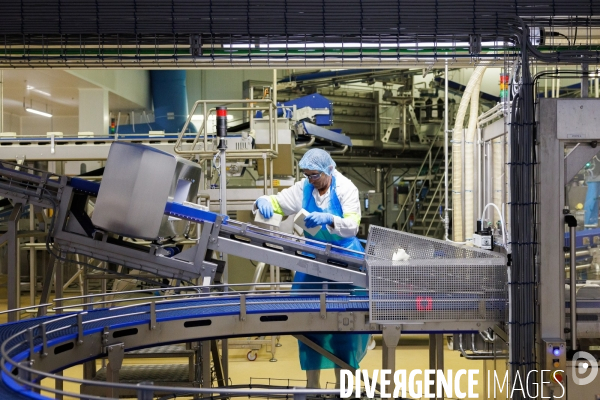 Fabrication de mozzarella industrielle