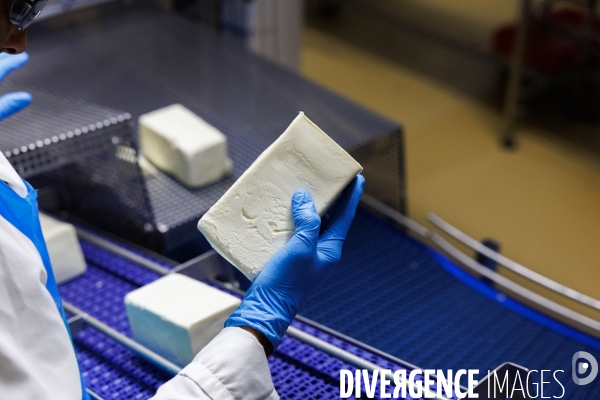 Fabrication de mozzarella industrielle