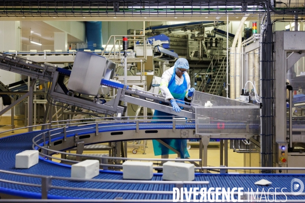 Fabrication de mozzarella industrielle