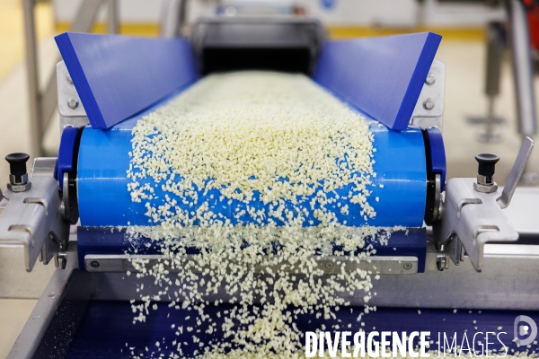 Fabrication de mozzarella industrielle
