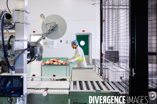 Fabrication de mozzarella industrielle