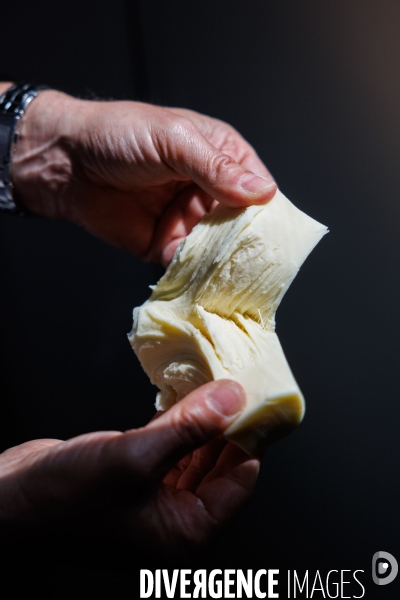 Fabrication de mozzarella industrielle