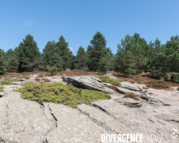 Le Mont Caroux