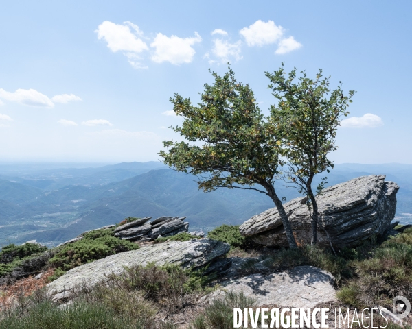 Le Mont Caroux