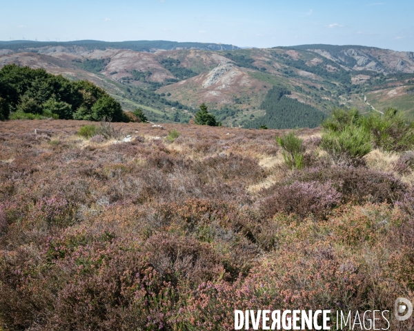 Le Mont Caroux