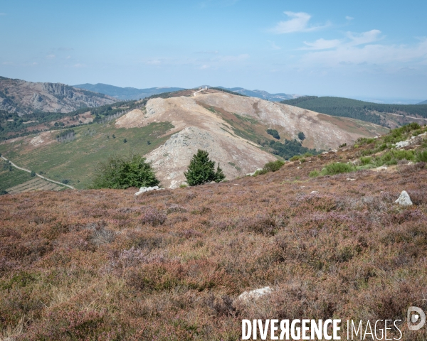 Le Mont Caroux