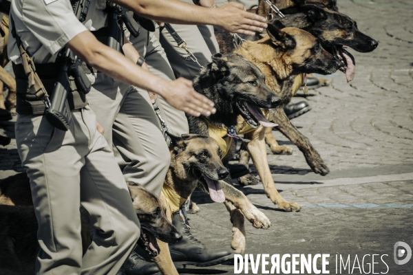 Défilé militaire du 14 juillet.