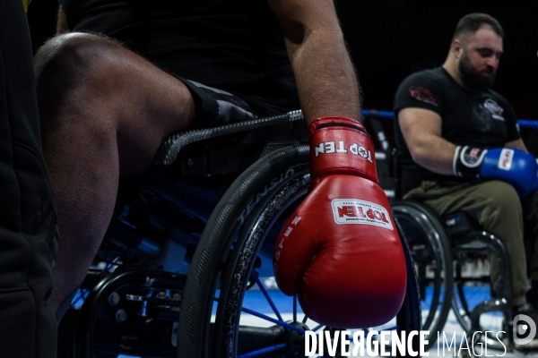 Handisport et resilience