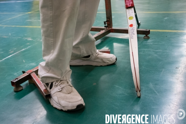 Handisport et resilience