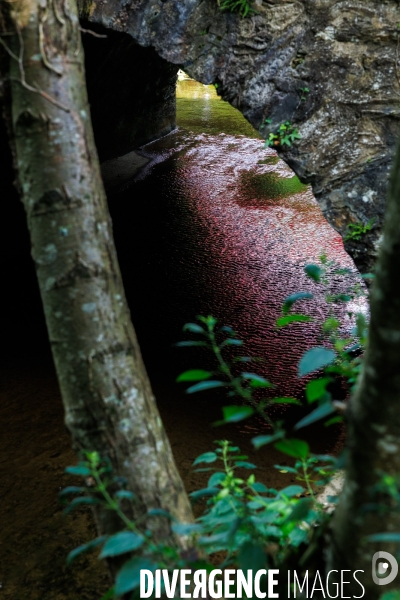 Sécheresse dans le Maine-et-Loire