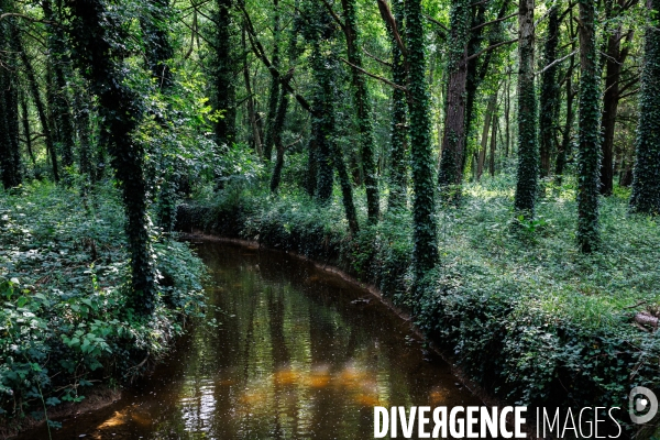 Sécheresse dans le Maine-et-Loire