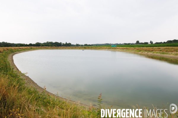 Sécheresse dans le Maine-et-Loire