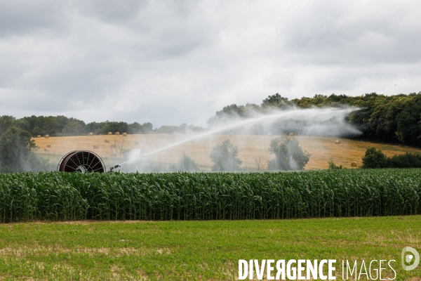 Sécheresse dans le Maine-et-Loire