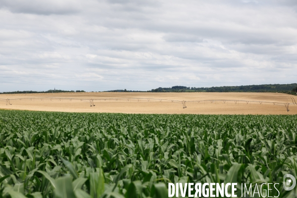 Sécheresse dans le Maine-et-Loire