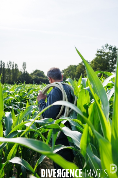 Sécheresse dans le Maine-et-Loire