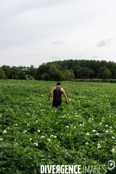 Sécheresse dans le Maine-et-Loire