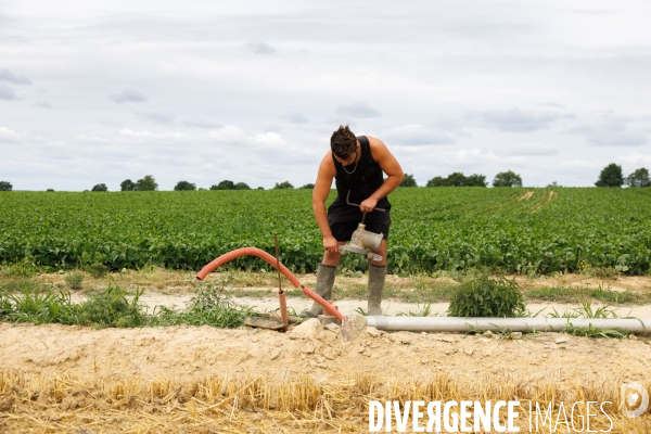 Sécheresse dans le Maine-et-Loire