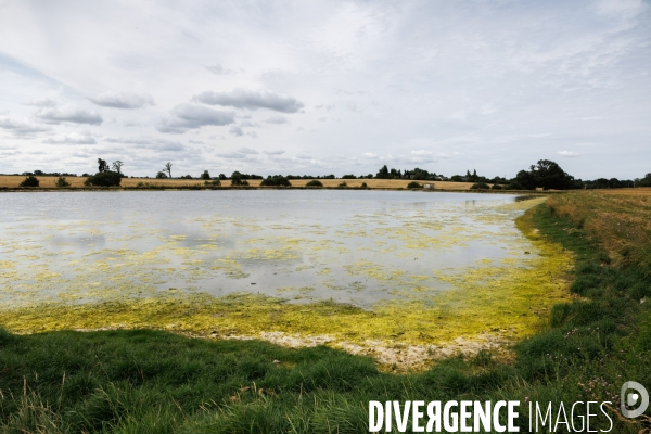 Sécheresse dans le Maine-et-Loire