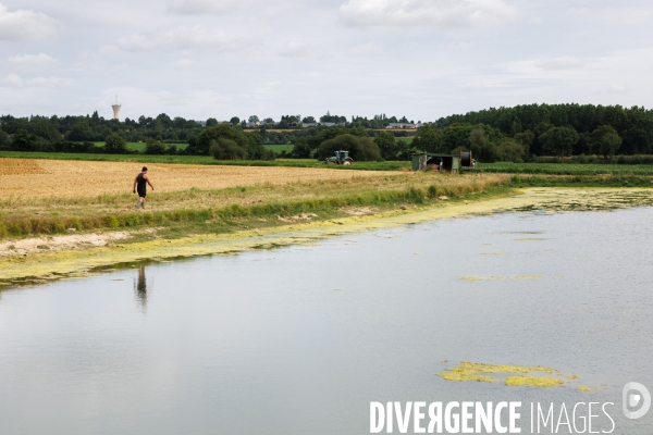 Sécheresse dans le Maine-et-Loire