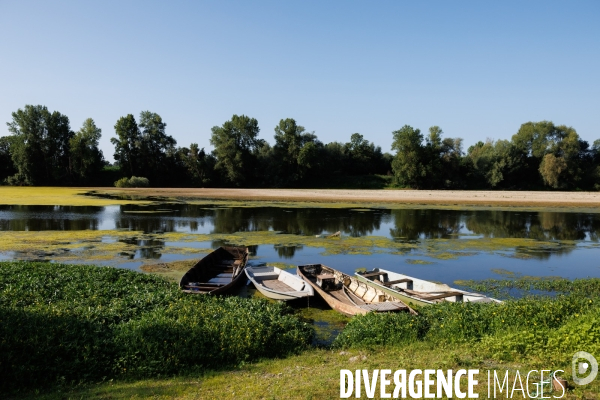 Sécheresse dans le Maine-et-Loire