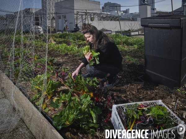 Agriculture urbaine à Paris
