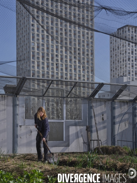 Agriculture urbaine à Paris