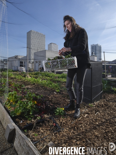 Agriculture urbaine à Paris