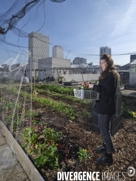 Agriculture urbaine à Paris
