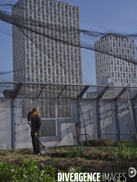 Agriculture urbaine à Paris