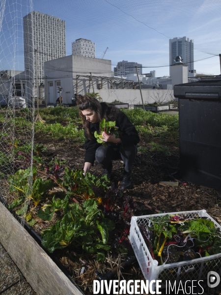 Agriculture urbaine à Paris