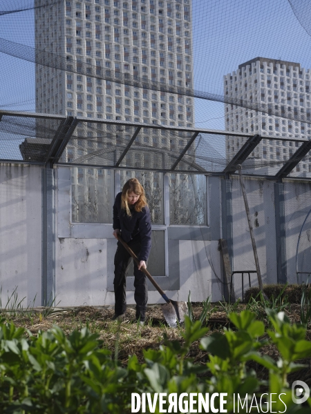 Agriculture urbaine à Paris