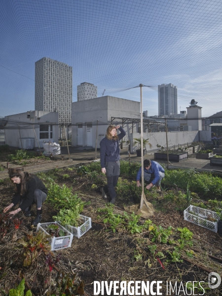 Agriculture urbaine à Paris