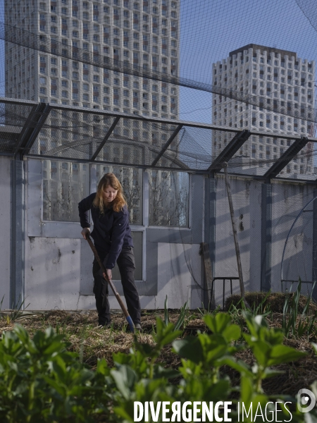Agriculture urbaine à Paris