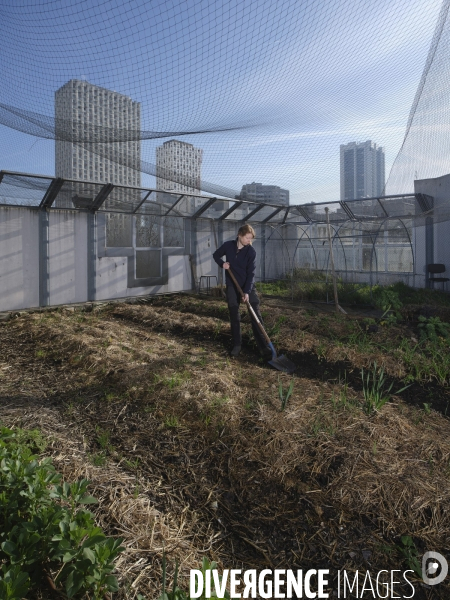 Agriculture urbaine à Paris
