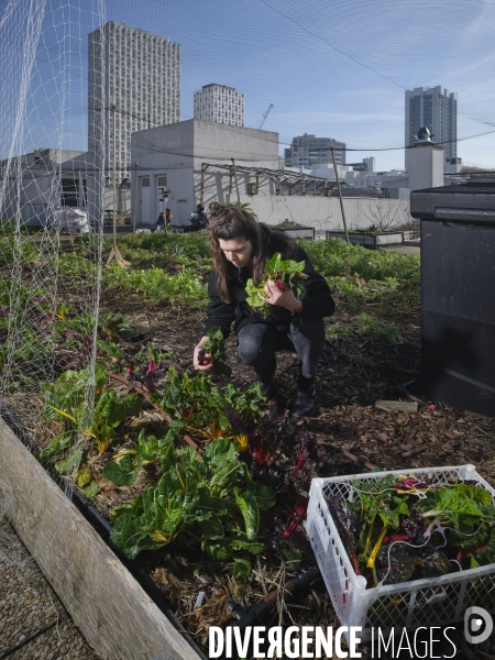Agriculture urbaine à Paris