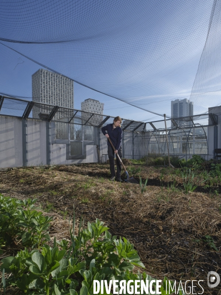 Agriculture urbaine à Paris
