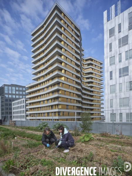 Agriculture urbaine à Paris