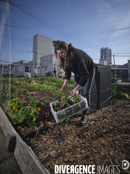 Agriculture urbaine à Paris