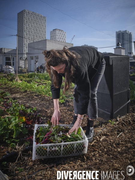 Agriculture urbaine à Paris