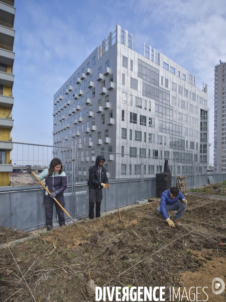 Agriculture urbaine à Paris